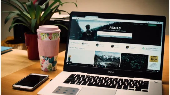 Web Development