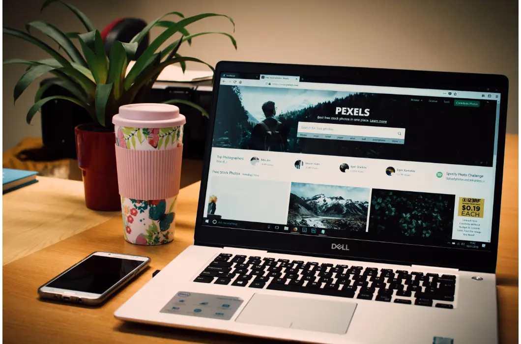 Web Development